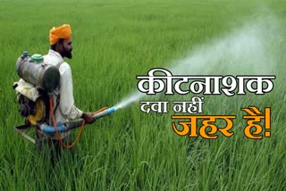 Jind farmer reaction on pesticide ban