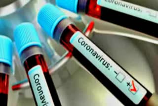 coronavirus case in jharkhand