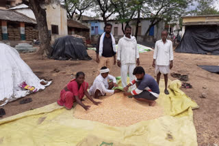 corn bags soaked due to heavy rain in thadkal