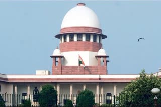 supreme court