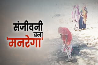 MNREGA as saviour, MNREGA  laborers, workers in MNREGA, MNREGA in rajasthan, rajsamand news, संजीवनी बना 'मनरेगा', मनरेगा में मजदूर, मनरेगा न्यूज राजस्थान में मनरेगा, राजसमंद न्यूज