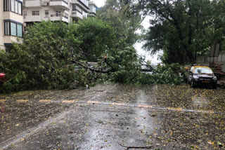 All roads leading to Worli Sea Face closed due to nisarg cyclone