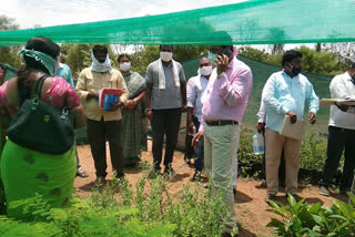 suryapet district collector vinay krishna reddy inspected nursery in Maddirala mandal