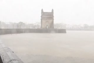 nisarga cyclone live update  nisarga cyclone latest update  nisarga cyclone mumbai  nisarga cyclone effect on mumbai  निसर्ग चक्रीवादळ लाईव्ह अपडेट  निसर्ग चक्रीवादळ लेटेस्ट अपडेट  निसर्ग चक्रीवादळाचा परिणाम  निसर्ग चक्रीवादळ मुंबई