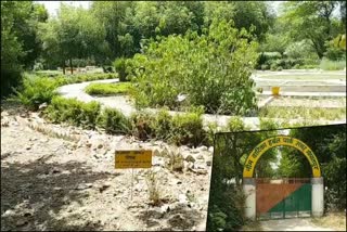 rohtak herbal park