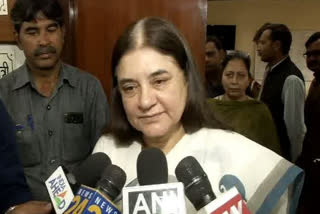 Maneka Gandhi tears into Kerala govt over elephant's death  says no action taken despite frequent incidents  മലപ്പുറത്ത് കാട്ടാനയുടെ ദാരുണ അന്ത്യം  സംസ്ഥാന സര്‍ക്കാര്‍  മേനകാ ഗാന്ധി