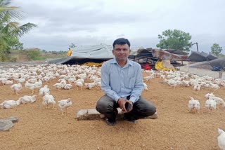 poultry-farms-damaged-due-to-heavy-rains-in-yeola-nashik