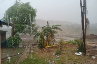 cyclone in alibaug