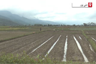 Vegetable growers adversely affected due to corona lockdown in Imphal