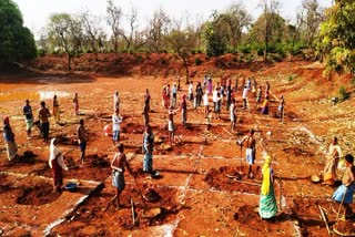 mgnrega works in Chhattisgarh