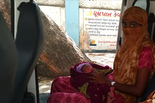 700 healthy babies were born in government hospitals in Porbandar