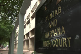 punjab haryana high court