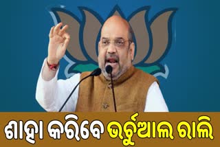 bjp-will-hold-a-virtual-rally-amit-shah-will-deliver-the-message-of-a-self-reliant-india