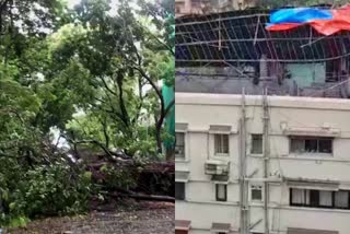 impact of cyclone nisarga