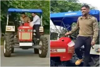 Mahendra Singh Dhoni was driving a tractor, News related to Mahendra Singh Dhoni, Dhoni driving tractor, Dhoni driving a tractor ranchi, महेंद्र सिंह धोनी से जुड़ी खबरें, ट्रैक्टर चला रहे धोनी, धोनी का ट्रैक्टर चलाते वीडियो वायरल