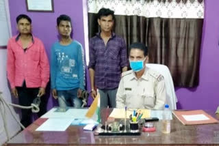 three arrested in cattle smuggling, पशु तस्करी मामले में तीन लोग गिरफ्तार