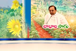 cm kcr review on controlled agriculture system in telanagana