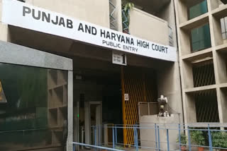 punjab haryana high court