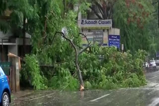 Two dead three injured due to Cyclone Nisarga in Pune മുംബൈ മഹാരാഷ്ട്ര പൂനെ നിസർഗ ചുഴലിക്കാറ്റ് പൂനെ റസിഡന്‍റ് ഡെപ്യൂട്ടി ജില്ലാ കളക്ടർ ജയശ്രീ കതാരെ