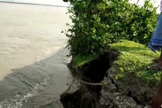 Erosion at Paharpur village of Barpeta by Brahmaputra river