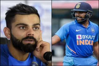 Virat Kohli, Rohit Sharma on pregnant elephant's death