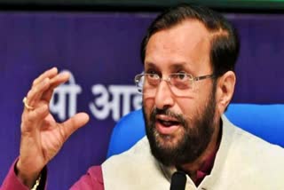 Union Minister Prakash Javadekar on Elephant's Death case