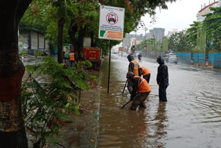 heavy rainfall and strong winds destroyed trees in thane