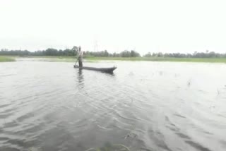 increase flood at puranigudam nagaon assam etv bharat news