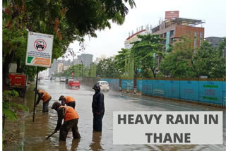 Heavy rain lashes Thane, trees uprooted