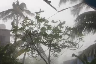 monsoon in konkan