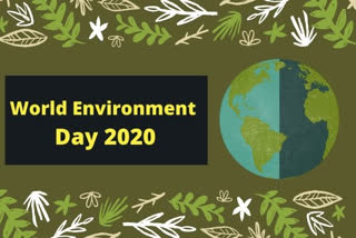 World Environment Day: Let's pause and focus on our biodiversity