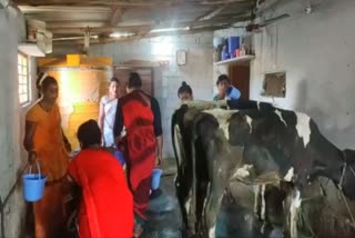 transgender started animal husbandry in kolar