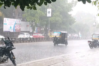 rain at several places in madhya pradesh due to 'nisarga' cyclone