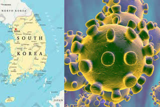 updates on corona in south korea