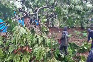 cyclone-nisarga-hits-ratnagiri-5-people-injured