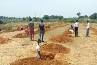 बिरसा हरित ग्राम योजना के तहत काम शुरू