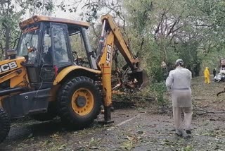 raigad latest news  post nisarga cyclone effect  nisarg cyclone effect on raigad  post cyclone situation in raigad  रायगडवर निसर्ग चक्रीवादळचा परिणाम  रायगड लेटेस्ट न्युज  चक्रीवादळानंतरची परिस्थिती