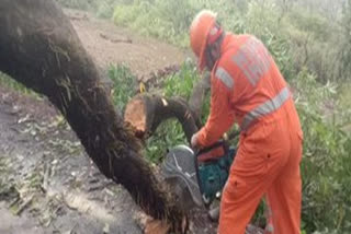 NDRF personnel conducting restoration work at Mandangad in Ratnagiri