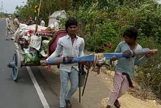 Nomad family pulls bullock cart without 'bull' to immerse ashes of their loved ones in Madhya Pradesh