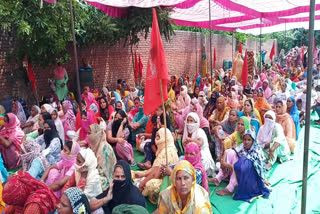 labour union do protest,DC Office, Sangrur  DC Office, Sangrur