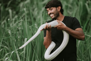 Rare albino (white python) found in Bantwal