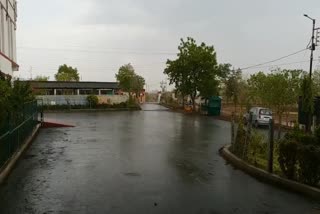 nisarg storm in rajgarh