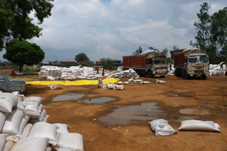 Thousands of quintal grains wet due to heavy rains in Katni