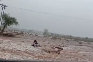 Trying to cross rivulet regardles of life in damoh