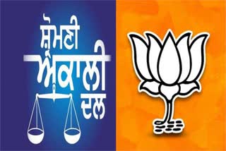 Akali Dal and the BJP will fight a joint battle against the Congress