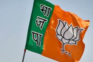 Udaipur city BJP executive declared, Udaipur city BJP News