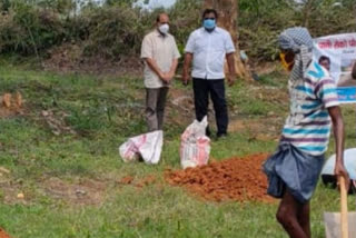 plantation of mango tree in dhanbad, पानी रोको पौधा रोपो' अभियान,