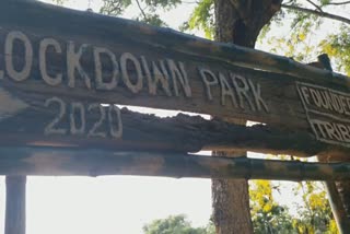 Lockdown park 2020 at Morigaon by Tribeni yuba sangha