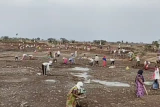 Exploitation of laborers under MNREGA in seoni