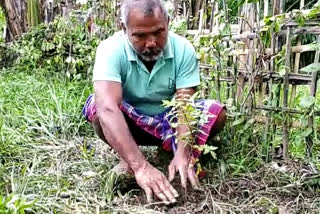 Forest man Jadav Payeng appeals people on World Environment Day